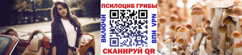 кракен зеркало  наркотики  Москва  Галлюциногенные грибы Psilocybe 
