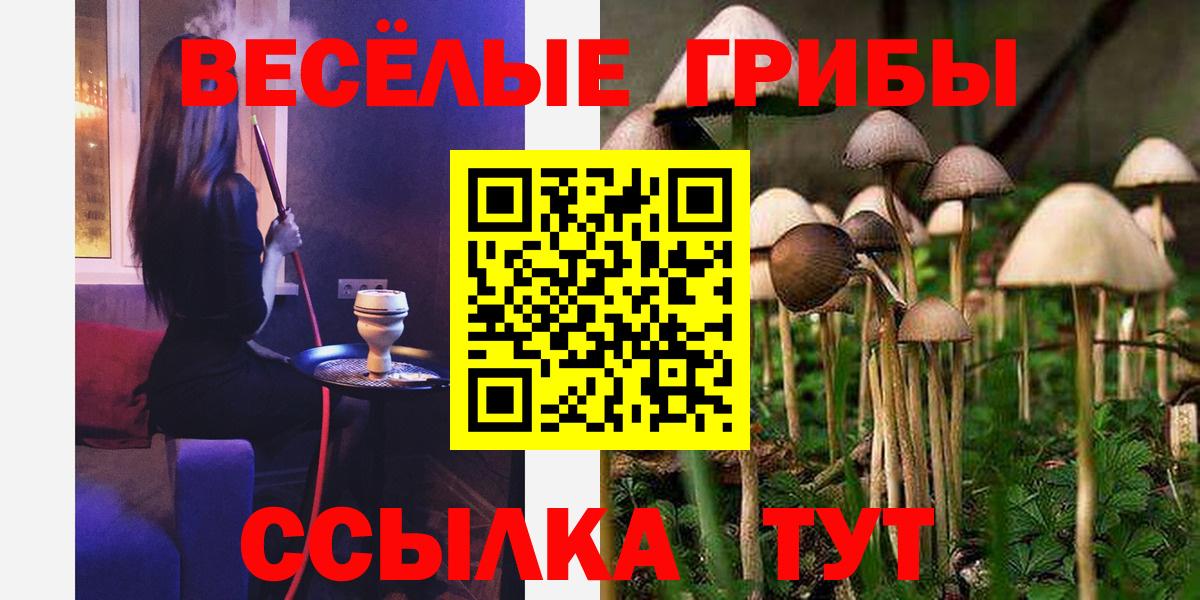 Галлюциногенные грибы прущие грибы  Вход с VPN  Москва 