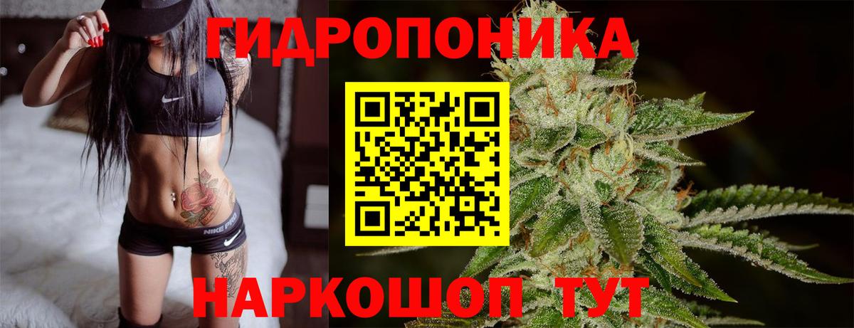 Бошки Шишки MAZAR  Бошки марихуана индика  Бошки Шишки семена  Москва  Вход с VPN 